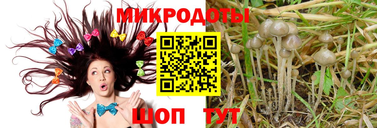 Можга  Псилоцибиновые грибы мицелий  Вход с VPN  Псилоцибиновые грибы Psilocybine cubensis 